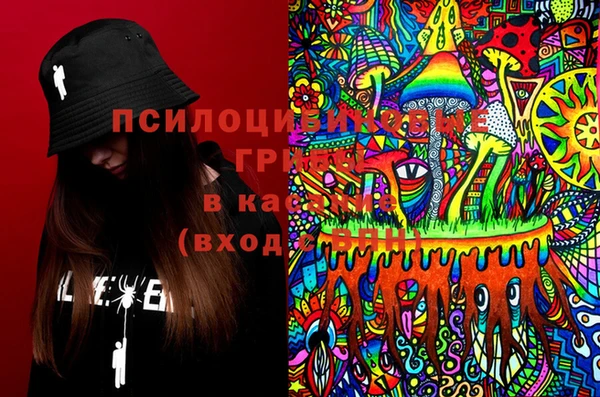 стафф Няндома