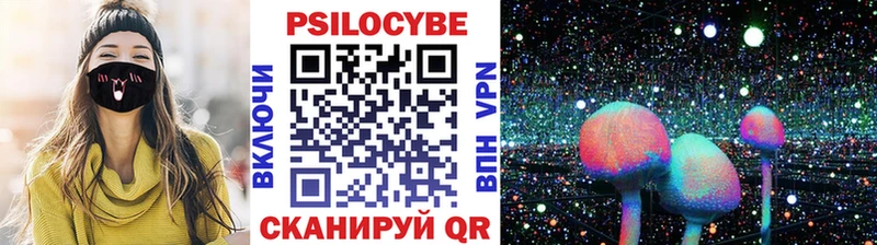 Псилоцибиновые грибы Psilocybine cubensis  Усть-Лабинск 