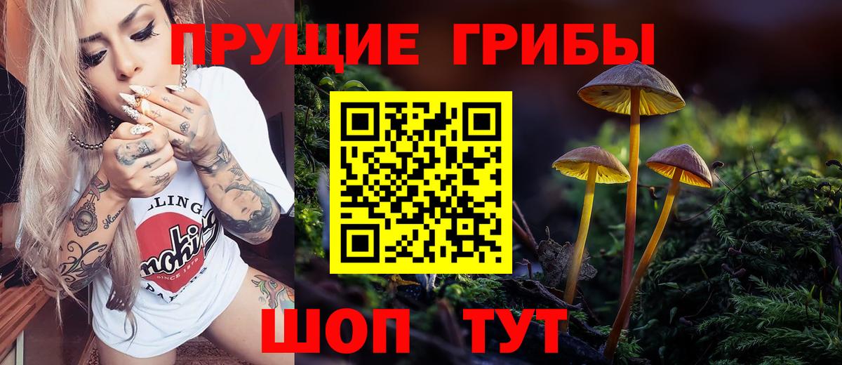 Псилоцибиновые грибы GOLDEN TEACHER  Галлюциногенные грибы мицелий  Усть-Лабинск 