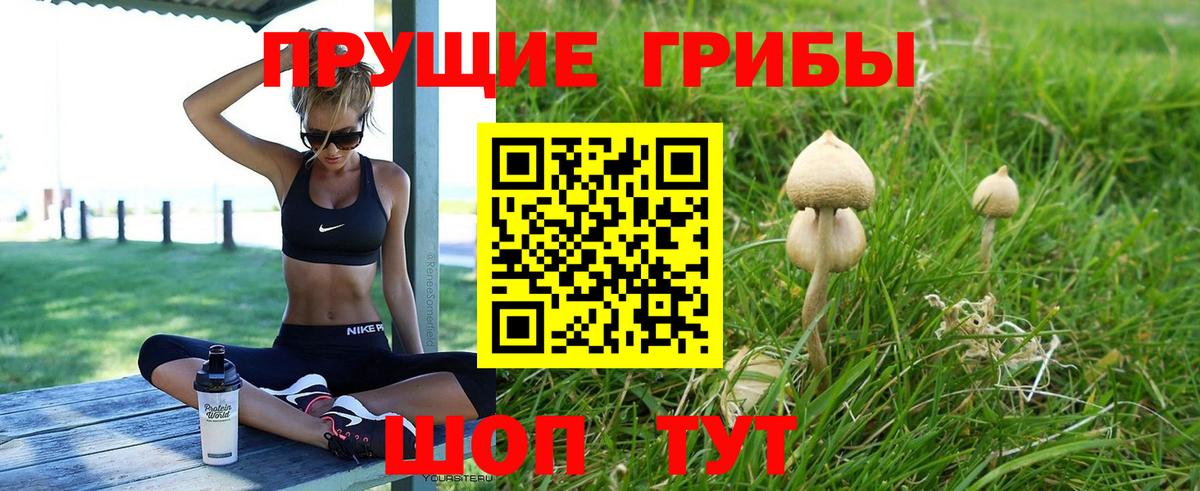 Псилоцибиновые грибы Psilocybe  Псилоцибиновые грибы ЛСД  цена   Усть-Лабинск  Вход с VPN 